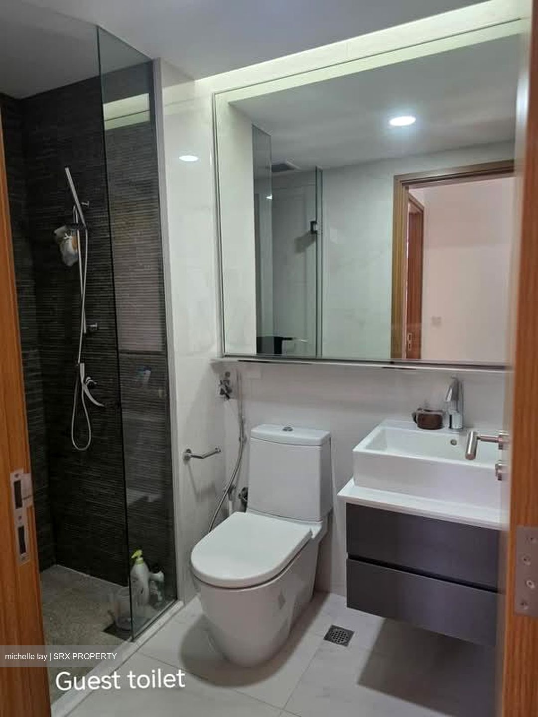 Watertown (D19), Apartment #557955521